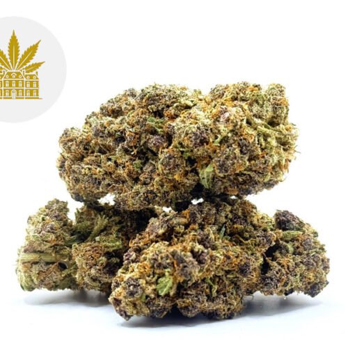 Milka Pop CBD 17% - Maison Nassoy Le Baron