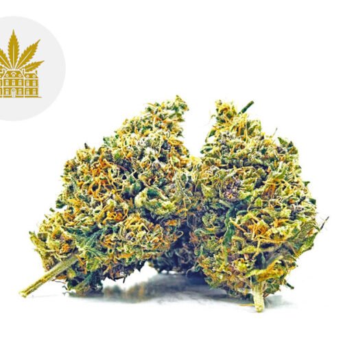 Siddhartha Queen CBD 4% - Maison Nassoy Le Baron