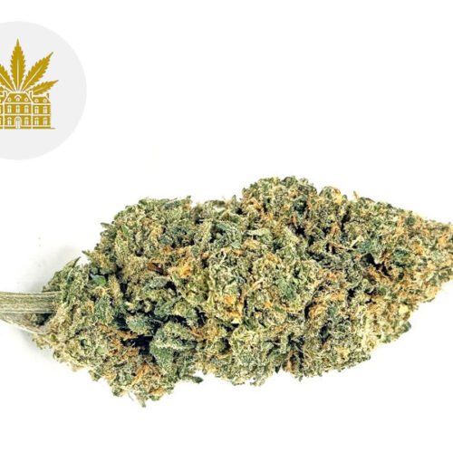 Slurp CBD 13% - Maison Nassoy Le Baron
