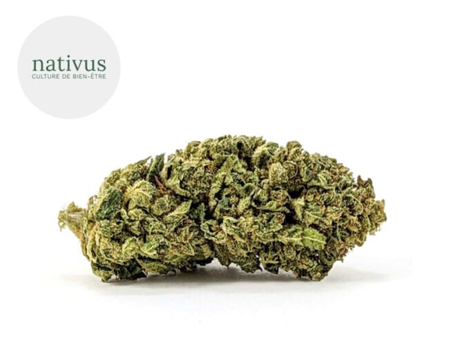 Candy Kush CBD 5% - Nativus