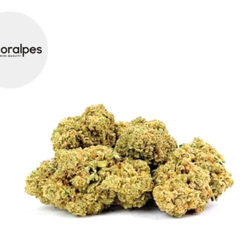 Candy Kush CBD 13% - Floralpes