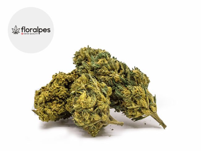 Super Silver Haze CBD 11% - Floralpes