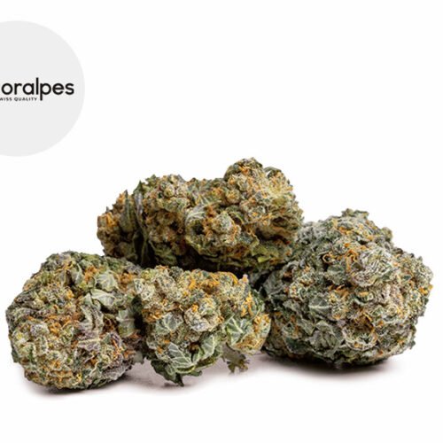 Gelato CBD 14% - Floralpes