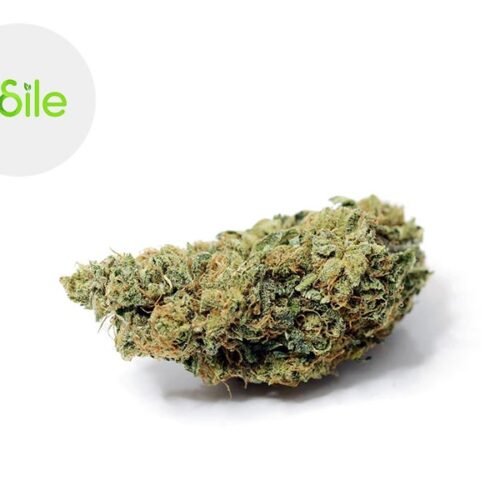 Silver Bubble CBD 5% - Odile Green
