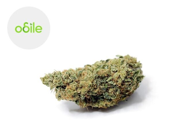 Silver Bubble CBD 5% - Odile Green