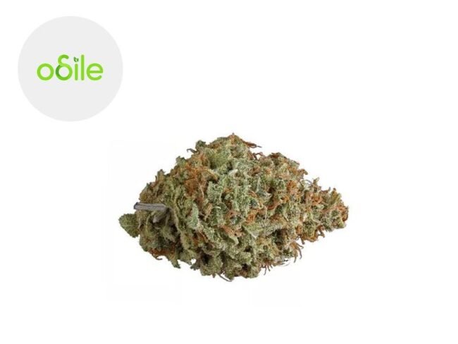 Cherry Berry CBD 7