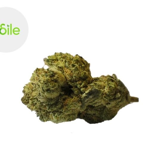 Titanium Lemon CBD 3