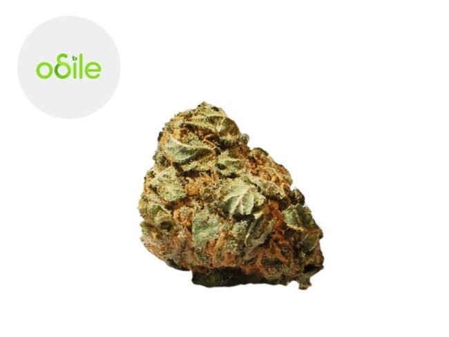 Orange Sunshine CBD 3
