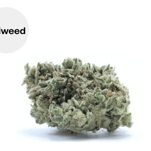 Lemon skunk CBD 20% - Okiweed