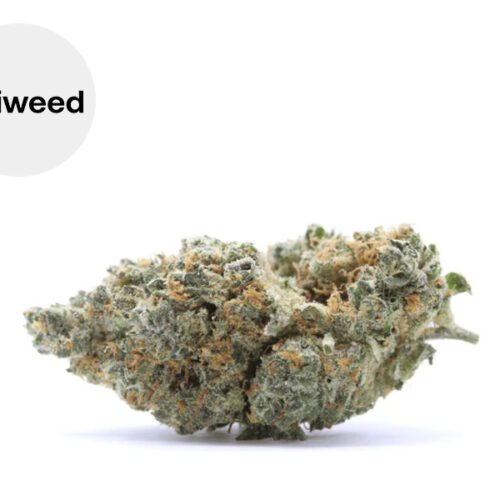 Bubble Gum CBD 20% - Okiweed