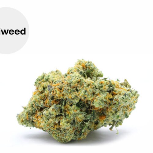 Blue Dream CBD 24% - Okiweed