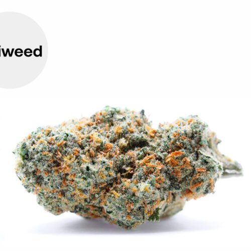Mango Haze CBD 23% - Okiweed