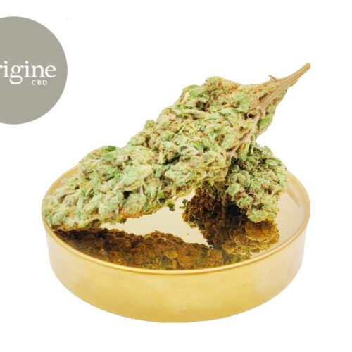 White Frost CBD 11% - Origine CBD