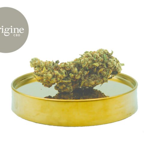 Northern Light CBD 11% - Origine CBD