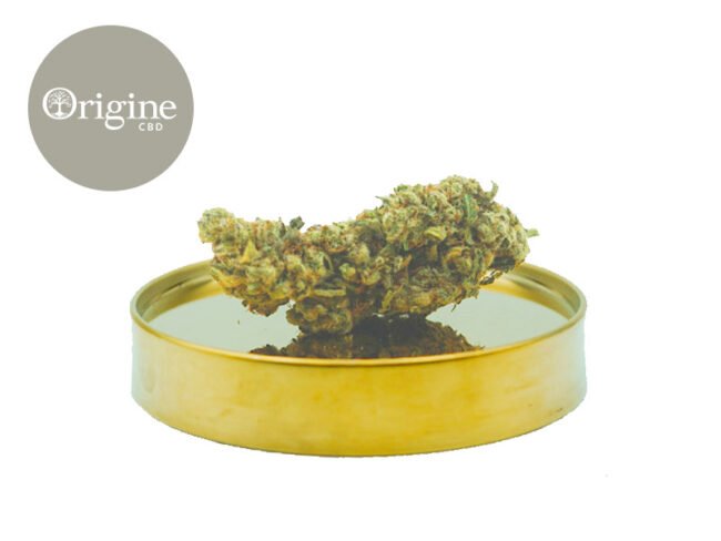 Northern Light CBD 11% - Origine CBD