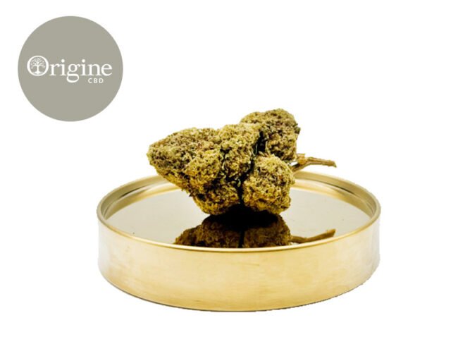 Ice Cream Cake USA CBD 11% - Origine CBD