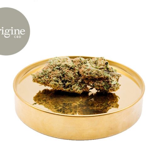 Hawaiian Skunk CBD 11% - Origine CBD