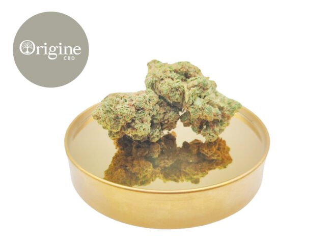 Wedding Cake CBD 11% - Origine CBD