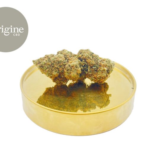 Amnesia Kush CBD 11% - Origine CBD