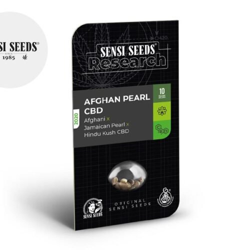 Graines Afghan Pearl CBD autofloraison - Sensi Seeds