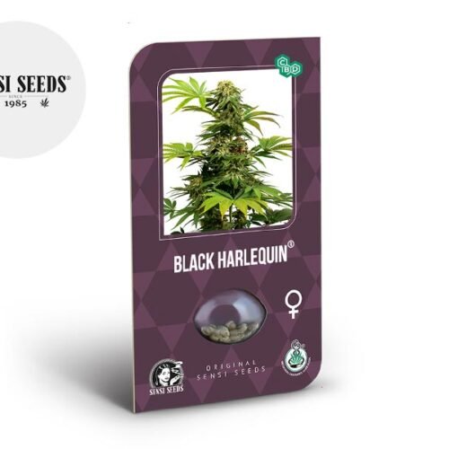 Graines Black Harlequin CBD féminisées - Sensi Seeds