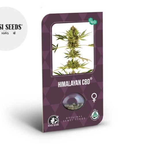 Graines Himalayan CBD féminisées - Sensi Seeds