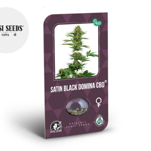 Graines Satin Black Domina CBD féminisées - Sensi Seeds