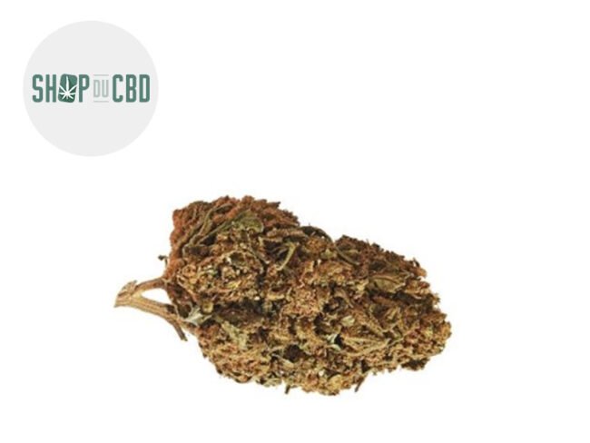 Orange Bud CBD 23