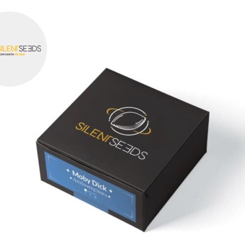 Graines Moby Dick CBD autofloraison - Silent Seeds