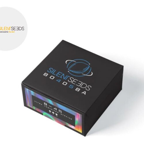 Graines B-45 CBD féminisées - Silent Seeds