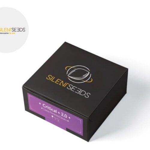 Graines Critical CBD féminisées - Silent Seeds
