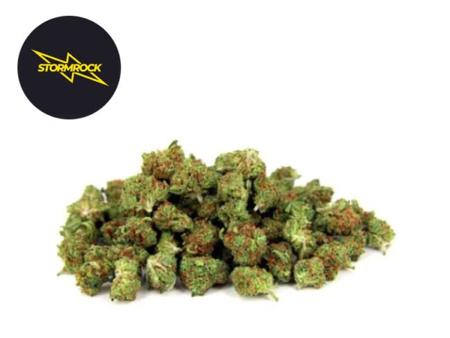 Mini-Bud Premium CBD 15% - Stormrock