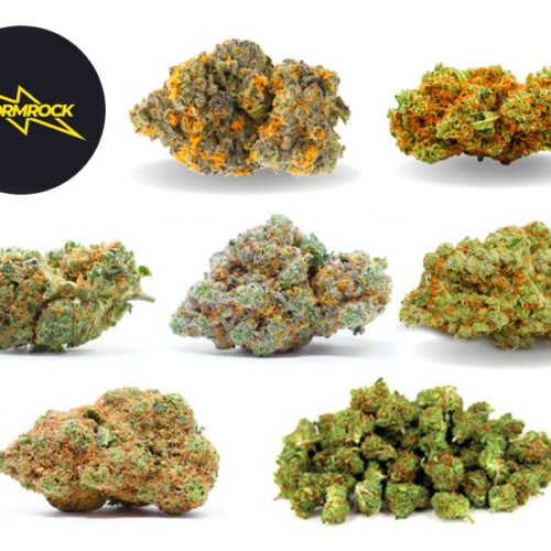 Coffret Stormbox Fleurs VIP Edition (100g) - Stormrock