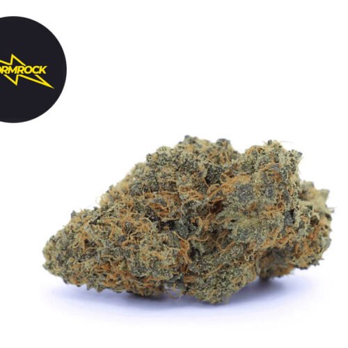 Bubble Gum CBD+ 33% - Stormrock