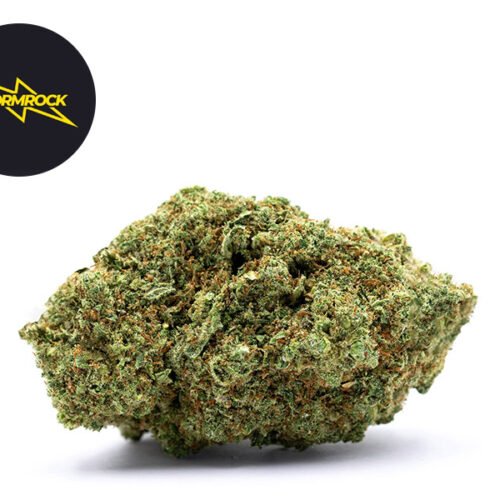 Gorilla Glue #4 CBD Premium 29% - Stormrock