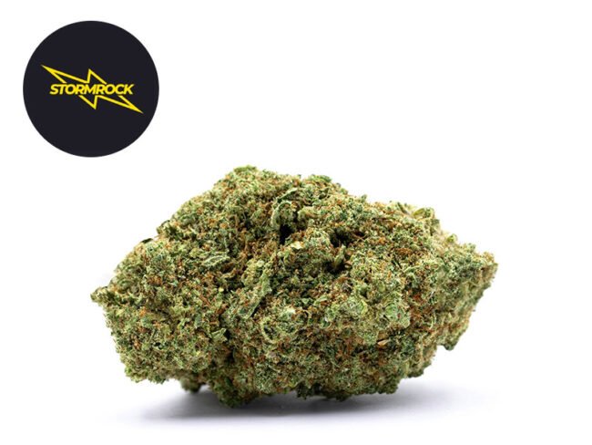 Gorilla Glue #4 CBD Premium 29% - Stormrock