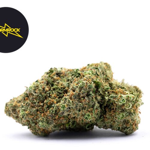 Bubble Gum Amsterdam Genetics CBD Premium 30% - Stormrock