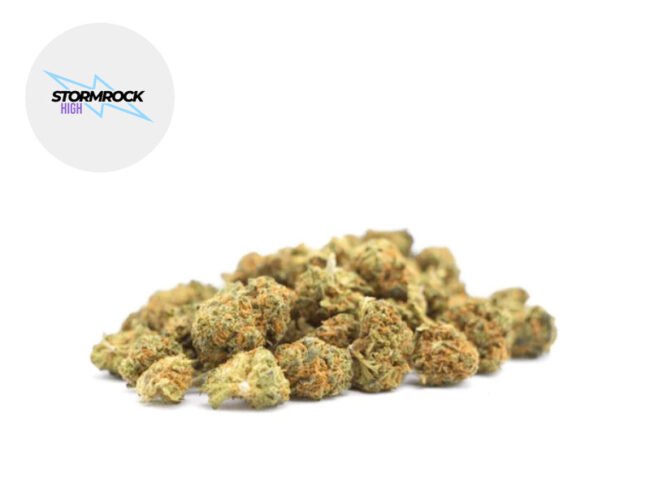 Mini Bud Premium THCP+ 15% - Stormrock High