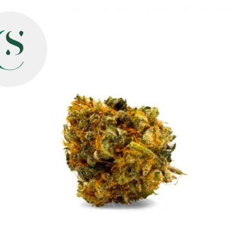 Bubble gum CBD 9% - Saveurs CBD