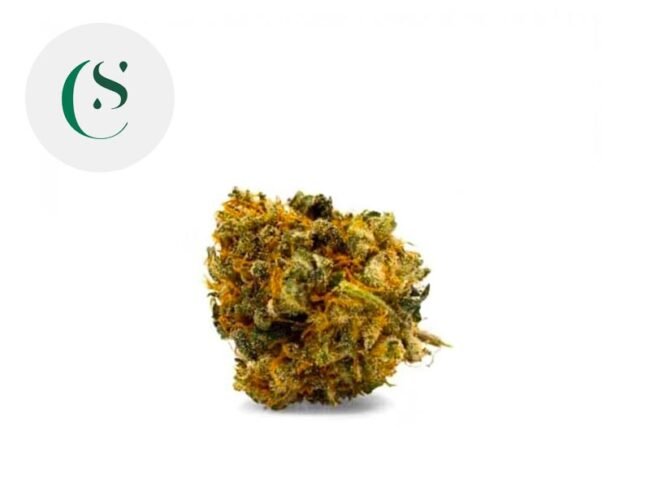 Bubble gum CBD 9% - Saveurs CBD