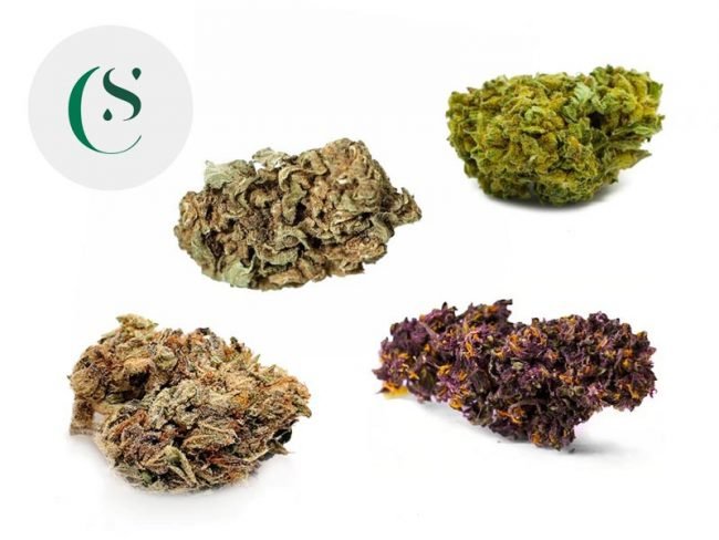 Coffret Greenhouse CBD Master (80g) - Saveurs CBD