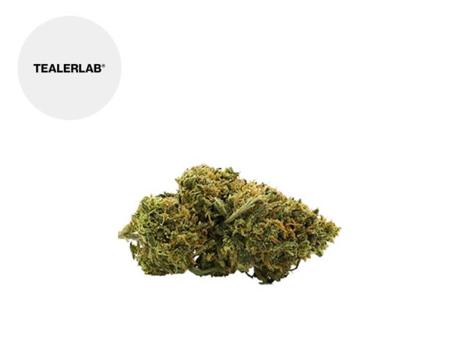 Orange Bud CBD 13% - TealerLab