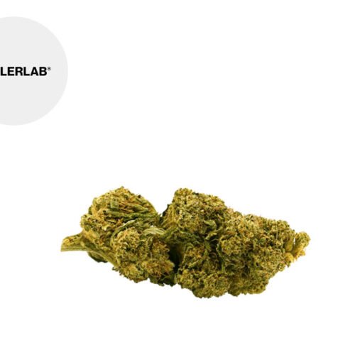 Lemon skunk CBD 12% - TealerLab