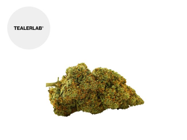 Strawberry Diesel CBD 13% - TealerLab