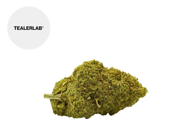 Amnesia CBD 12% - TealerLab