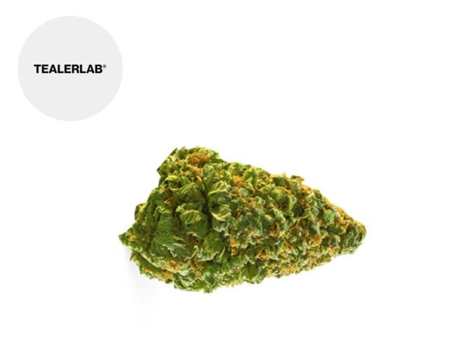 Mango Haze HHC 20% - TealerLab