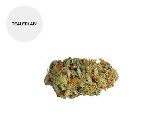 OG Kush HHC 20% - TealerLab