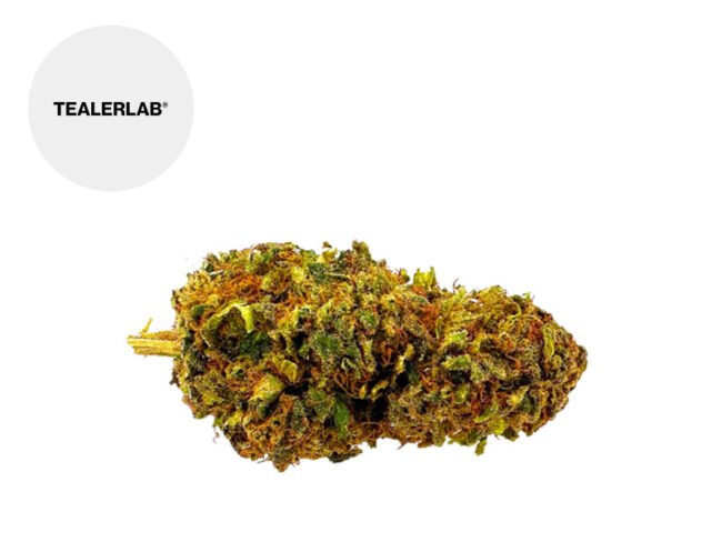 Marra Kush Premium H4CBD 20% - TealerLab