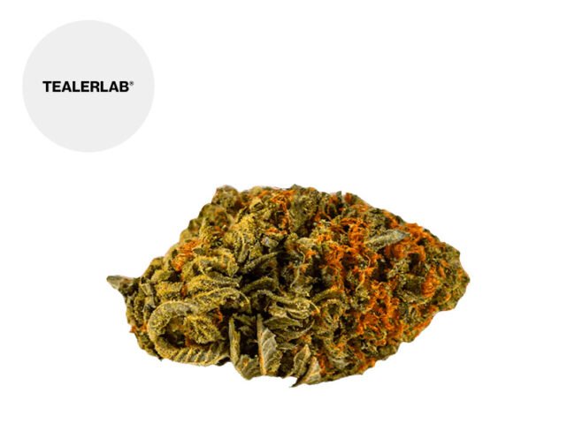 Orangello Premium H4CBD 19% - TealerLab