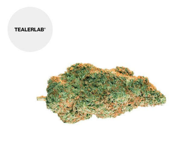 Mango Kush THCP+ 19% - TealerLab